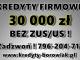 kredyt_firmowy_30_000_zl_bez_niezal