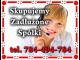 zadluzona_spolka_lub_jdg_kas_jpk_