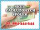 skup_zadluzonych_podmiotow_233_299_