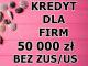 _kredyt_dla_firm_50_000_zl_bez_niez