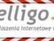 darmowe_ogloszenia_w_internecie