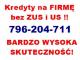 kredyt_na_firme_bez_dokumentow_fina