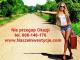 kupie_zadluzona_spolke_299_ksh